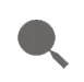 custom-icon